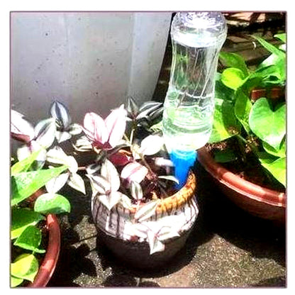 Automatic Plant Watering Spikes