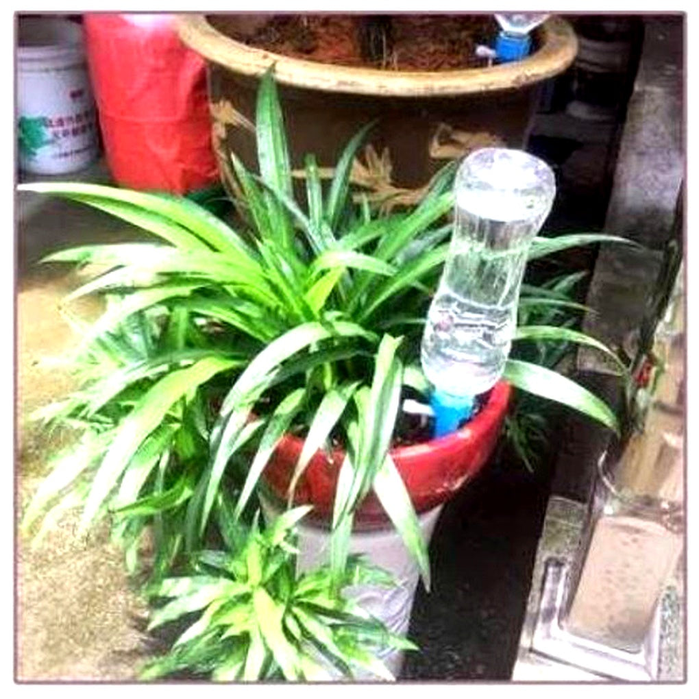Automatic Plant Watering Spikes