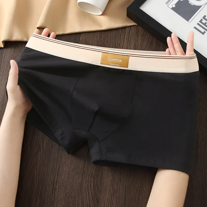 Cotton Theory Men’s Boxer Brief Set