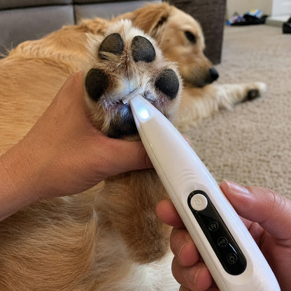Retriever being groomed with the PawPerfect paw trimmer
