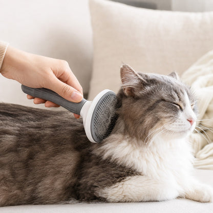 Brushing a long-haired cat with the PurrGroom slicker brush