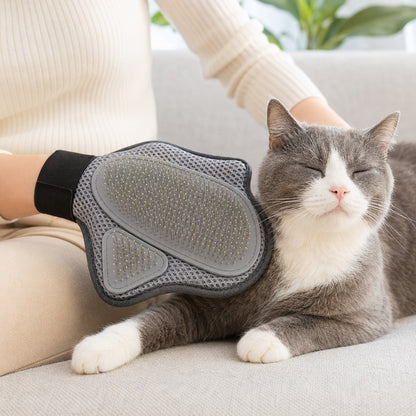 Grooming a cat on the sofa with the ShedEase glove