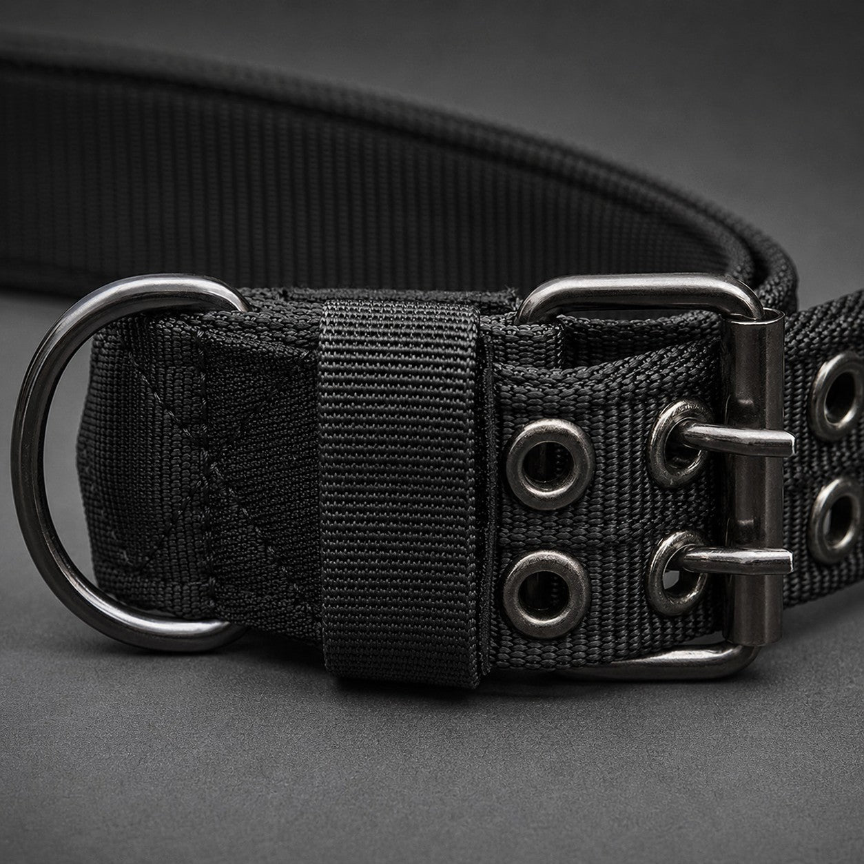 Close-up of the metal D-ring and buckle on the tactical dog collar