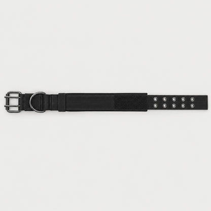 Tactical dog collar laid flat showing the double-pin buckle